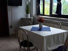 Zimmerbild 2