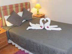 Zimmerbild 1