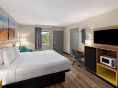 Zimmerbild 3