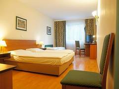 Zimmerbild 1