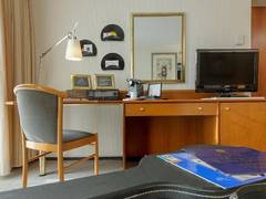 Zimmerbild 11