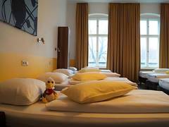 Zimmerbild 1