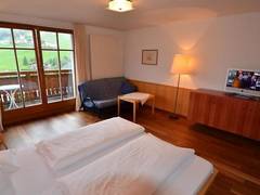 Zimmerbild 12
