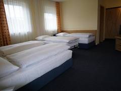 Zimmerbild 1
