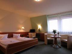 Zimmerbild 5