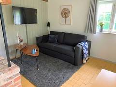 Zimmerbild 1