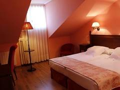Zimmerbild 1