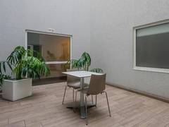 Zimmerbild 1