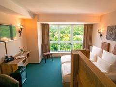 Zimmerbild 5