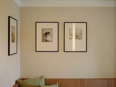 Zimmerbild 5