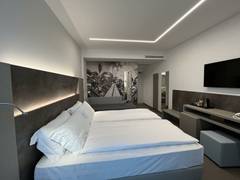 Zimmerbild 8