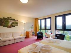 Zimmerbild 2