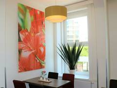 Zimmerbild 1
