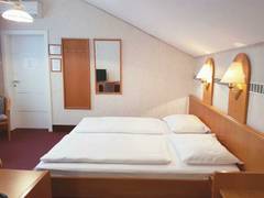 Zimmerbild 6
