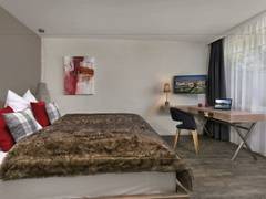 Zimmerbild 1