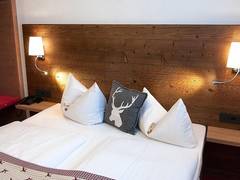 Zimmerbild 6