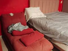 Zimmerbild 8