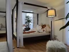 Zimmerbild 3