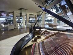 Zimmerbild 1