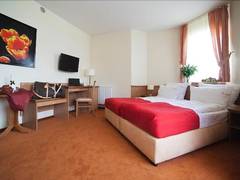 Zimmerbild 22