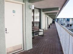 Zimmerbild 2