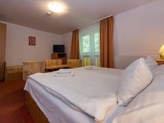 Zimmerbild 8