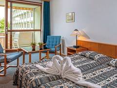 Zimmerbild 6