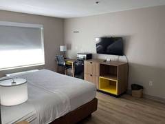 Zimmerbild 2