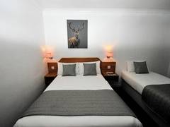 Zimmerbild 7