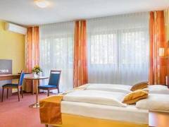 Zimmerbild 12