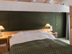 Zimmerbild 1