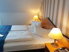 Zimmerbild 1