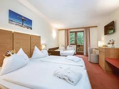 Zimmerbild 3