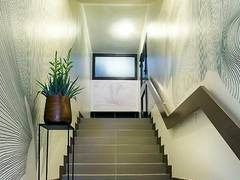 Zimmerbild 1