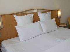 Zimmerbild 1