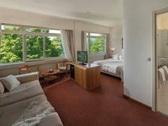 Zimmerbild 3