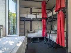 Zimmerbild 1