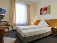 Zimmerbild 3