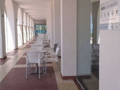 Zimmerbild 1