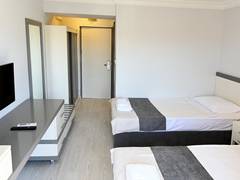Zimmerbild 1