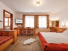 Zimmerbild 8