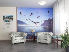Zimmerbild 1
