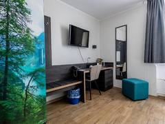Zimmerbild 3