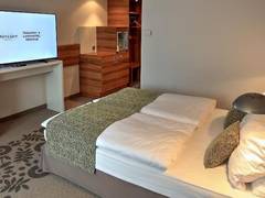 Zimmerbild 1
