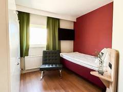 Zimmerbild 1