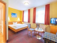 Zimmerbild 1