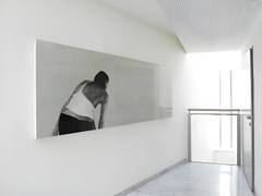 Zimmerbild 2