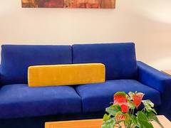Zimmerbild 3