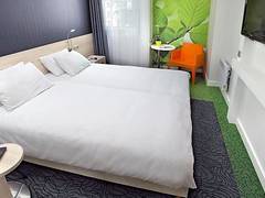 Zimmerbild 11