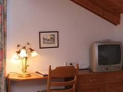 Zimmerbild 1